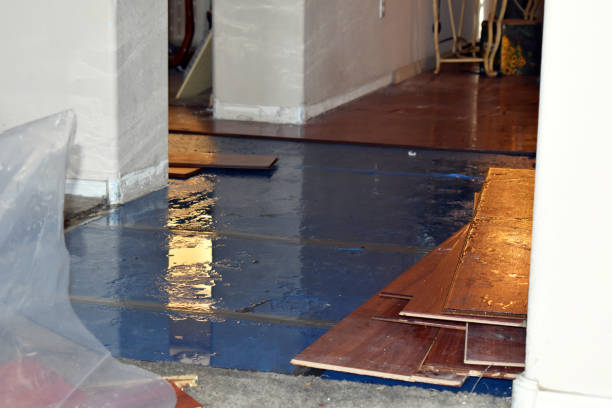 Professional Water Damage technician working in Bigfoot, TX