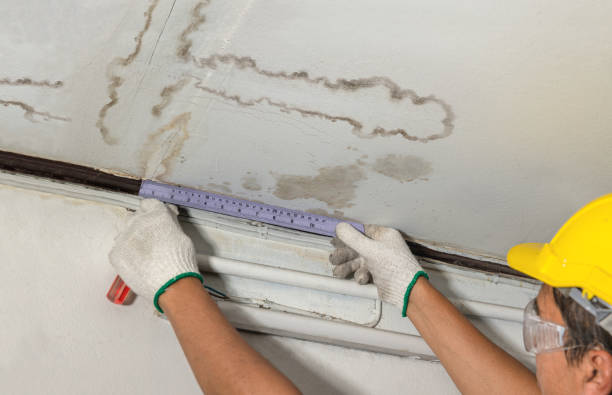 Reliable Water Damage contractor in Bigfoot, TX by Water Damage Irwin